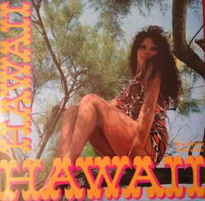 Gramofonska ploča Das Moana-Quartett / Das Hawaii Orchester Simon Krapp* Und Die Ping-Pangs Hawaii LP 5646, stanje ploče je 10/10