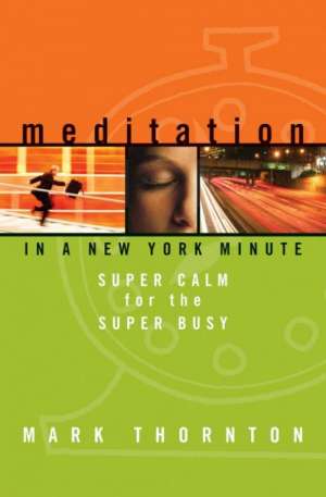 Meditation in a New York Minute Mark Thornton meki uvez