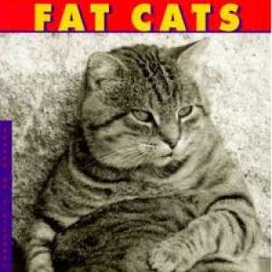 Fat cats J. C. Suares tvrdi uvez