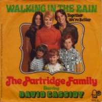 Walking In The Rain / Together We're Better Patridge Family D uvez