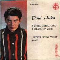 A Steel Guitar And A Glass Of Wine / I Never Knew Your Name Paul Anka D uvez