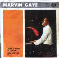 I Heard It Through The Grapevine / Change What You Can Marvin Gaye D uvez