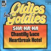 Chantilly Lace / Heartbreak Hotel Sha-na-na D uvez