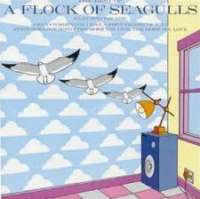 The Best Of A Flock Of Seagulls