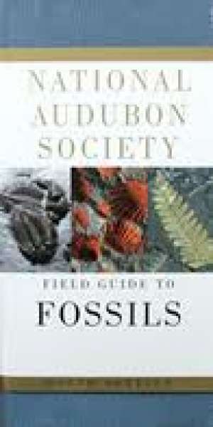 Field guide to fossils north america G.a meki uvez