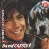 Daydreamer / The Puppy Song David Cassidy D uvez