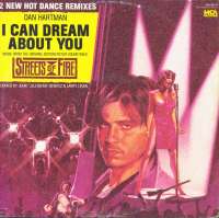 Gramofonska ploča Dan Hartman I Can Dream About You 259 307-0, stanje ploče je 10/10