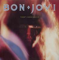 Gramofonska ploča Bon Jovi 7800° Fahrenheit 824 509-1Q, stanje ploče je 8/10