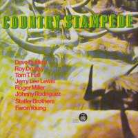 Gramofonska ploča Dave Duddley / Roy Dursky / Tom T.Hall / Jerry Lee Lewis / Roger Miller /Johnny Rodriguez / Statler Brothers / Faron Young Country Stampede LP 5819, stanje ploče je 8/10