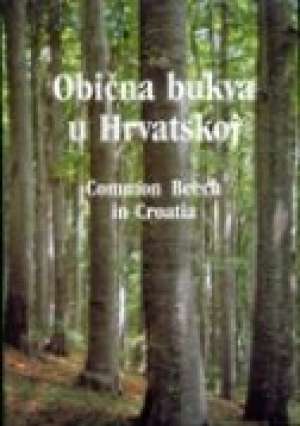 Obična bukva u hrvatskoj Slavko  Matić željko Ledinski tvrdi uvez