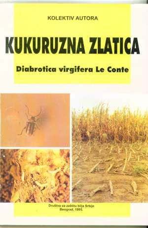 Kukuruzna zlatica - diabrotica virgifera le conte G.a meki uvez