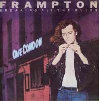 Gramofonska ploča Peter Frampton Breaking All The Rules 2221225, stanje ploče je 10/10