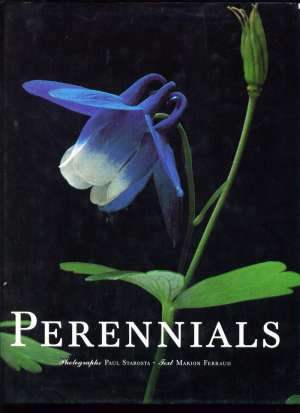 Perennials Marion Ferraud tvrdi uvez