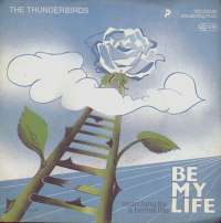 Be My Life / Searching For A Better Life Thunderbirds D uvez