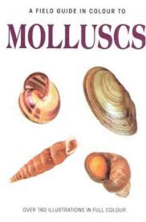 Molluscs Vaclav Pfleger meki uvez