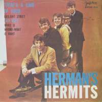 Theres A Kind Of Hush / Gaslite Street / East West / What Is Wrong - What Is Right Hermans Hermits D uvez