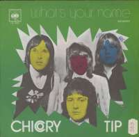 What's Your Name / Memory Chicory Tip D uvez