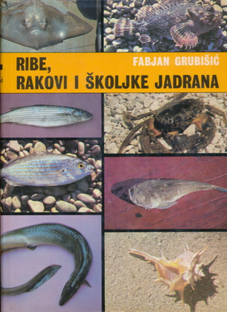 Ribe, rakovi i školjke jadrana Fabjan Grubišić tvrdi uvez