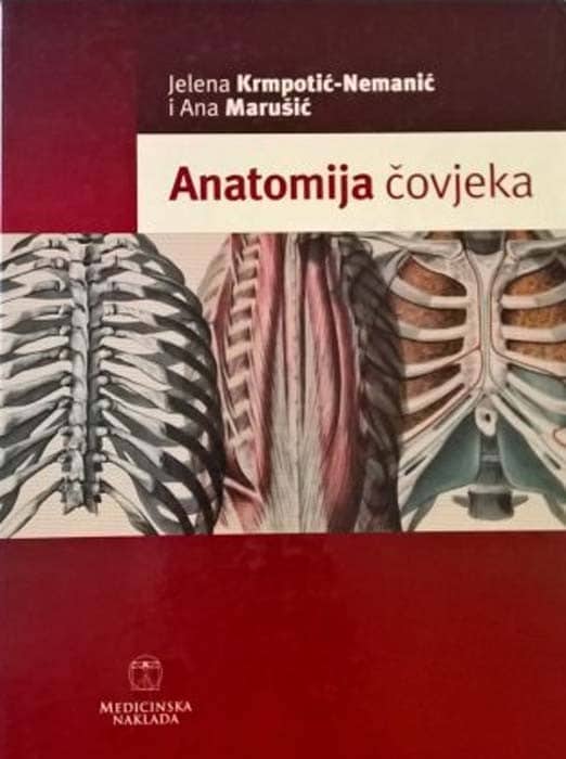 Anatomija čovjeka - 2. korigirano izdanje Jelena Krmpotić Nemanić, Ana Marušić tvrdi uvez