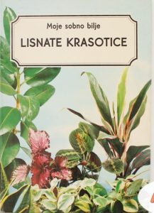 Moje sobno bilje - lisnate krasotice Anđelka I Stanislav Vidmar tvrdi uvez