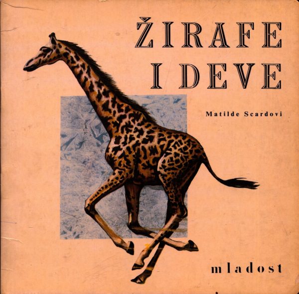 Žirafe i deve Matilde Scardovi