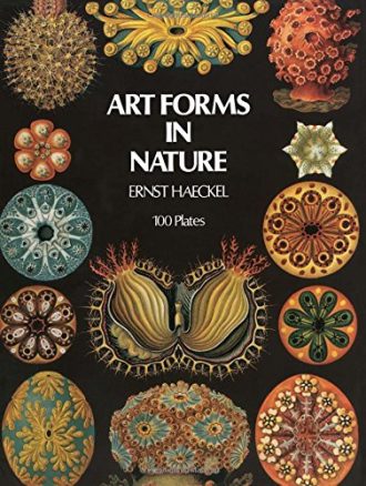Art Forms in Nature Ernst Haeckel