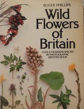 Wild flowers of Britain Robert Phillips