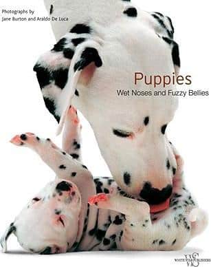 Puppies Jane Burton