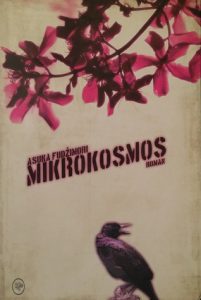 Mikrokosmos Fujimori Asuka