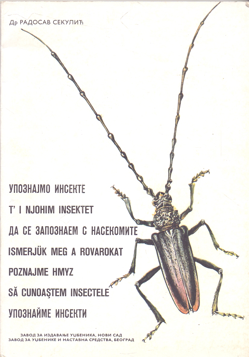 Upoznajmo insekte Radosav Sekulić