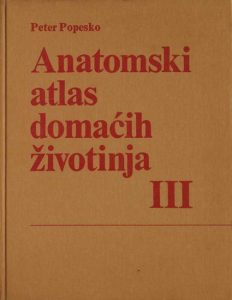 Anatomski atlas domaćih životinja III. dio Peter Popesko