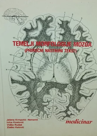 Temelji morfologije mozga G.A.